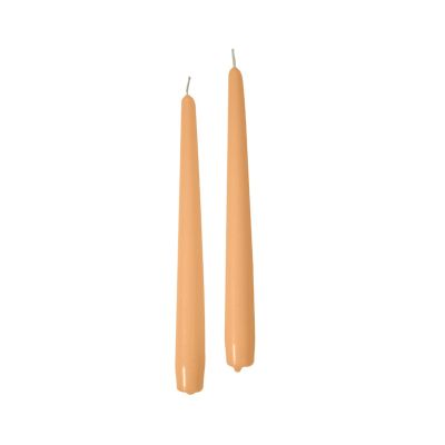 Candele coniche Ø 2,2 cm h. 25 cm 2 pezzi - Pesca