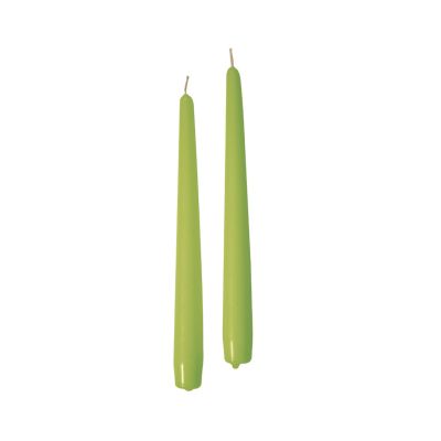 Candele coniche Ø 2,2 cm h. 25 cm 10 pezzi - Pistacchio