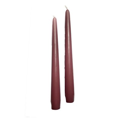 Candele coniche Ø 2,2 cm h. 25 cm 10 pezzi -Prugna