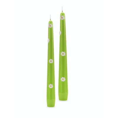 Candele coniche con Margherite Ø 2,2 cm h. 25 cm 2 pezzi -Pistacchio
