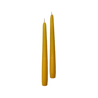 Candele coniche Ø 2,2 cm h. 25 cm 10 pezzi - Mostarda